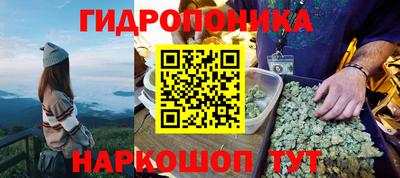ГАЛЛЮЦИНОГЕННЫЕ ГРИБЫ Аргун
