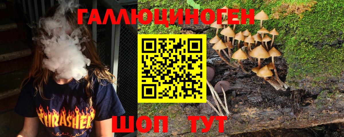 Апшеронск  Псилоцибиновые грибы Psilocybe  Вход с VPN 