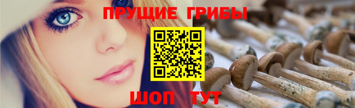Псилоцибиновые грибы прущие грибы Апшеронск